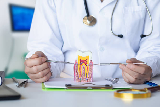 Best Emergency Dentist for Special Needs Patients in Covelo, CA